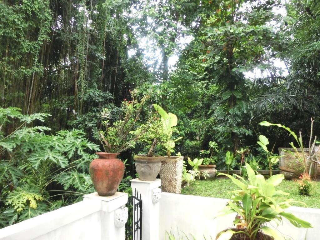 Latugu Homestay Ubud Phòng bức ảnh
